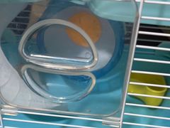 -宠爱我(南山店)