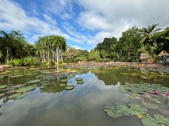 -中国科学院西双版纳热带植物园