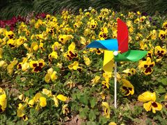 -上海昆虫博物馆