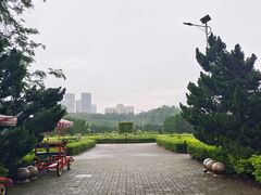 -南沙蒲洲花园