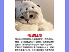 -纳吉亚猫专科动物诊疗中心(蒋宅口分院)