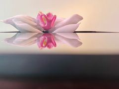 -上海琉璃艺术博物馆