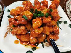 -聂记粤菜馆(鼓西路店)