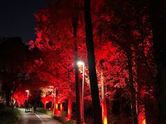 -宁波儿童公园(鄞州区)