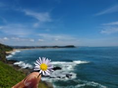 -漳州滨海火山岛自然生态风景区