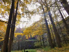 -阳台山自然风景区