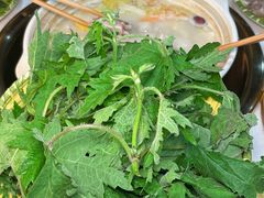 -土连锅·现熬养生汤锅(梁家巷店)