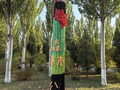 -乌素图国家森林公园