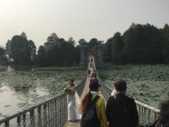 -东湖落雁景区