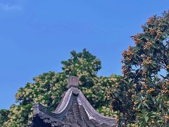 -何园