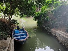 -小洲村