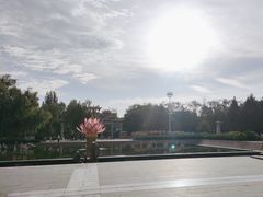 -张掖大佛寺景区