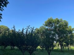 -蜀冈西峰生态公园