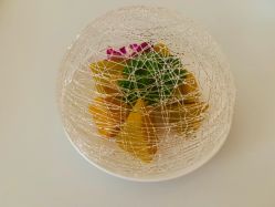 -润禧·东方幸福月子会所(高新区店)