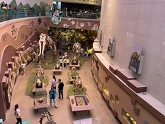 -陕西自然博物馆