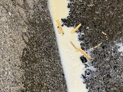 -椰不二(成都来福士广场店)