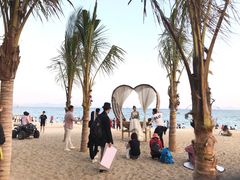 -玫瑰海岸文化旅游度假区