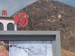 -樱花山风景区