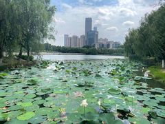 -后襄河公园