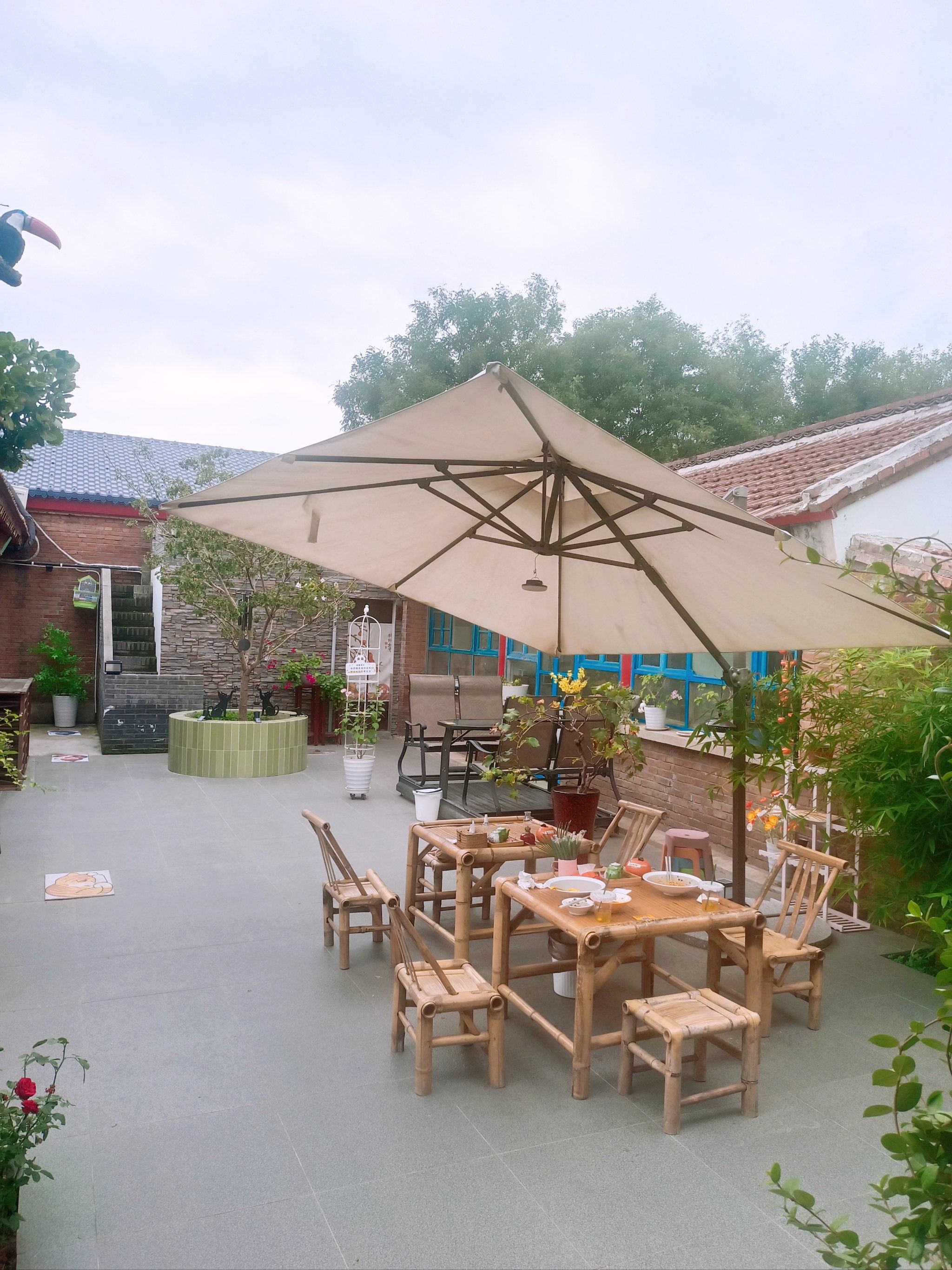 想拥有同款小院