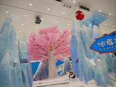 -长沙湘江冰雪世界