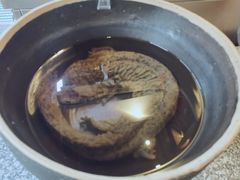 娃娃鱼长这样-印象鲵宴·张家界地标美食名片(溪布街店)