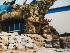 -秦皇岛乐岛海洋王国