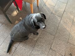 -南窖乡水峪村山情农家