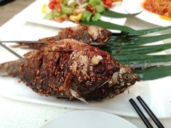 -云腾食府·云南菜