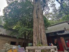 -青岛崂山太清宫