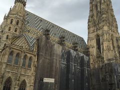-斯蒂芬主教座堂(Stephansdom)