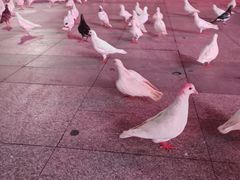 -万达广场(广州番禺店)