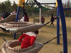 -上海长兴岛郊野公园