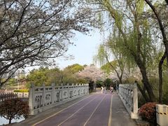 -尚贤河湿地