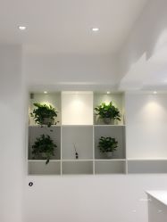 -MIVI半永久纹眉绣眉