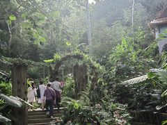 -野象谷景区