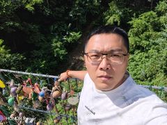 -西双版纳原始森林公园