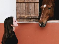 -重庆和泰马术俱乐部