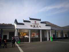 -千年银杏谷文化旅游区