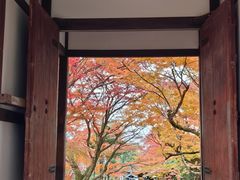 -常寂光寺