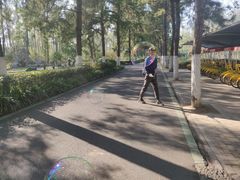 -合肥滨湖国家森林公园