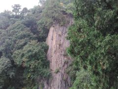 -北京鹫峰国家森林公园