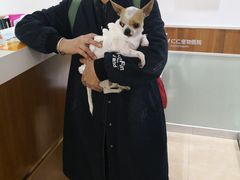 -宠福鑫动物医院·动物疾病诊疗中心(天通苑店)