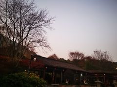 -杭州半山国家森林公园