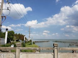 -水八仙生态园