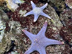 -杭州长乔极地海洋公园