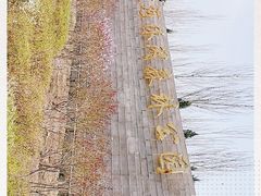 -永定河休闲森林公园