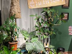 -Thai Basil罗勒叶泰式餐厅(时代天街店)