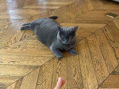 -Me Coffee下午茶艺术空间