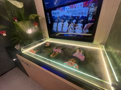 -芸山季·云南山珍菌火锅(南翔印象城MEGA店)